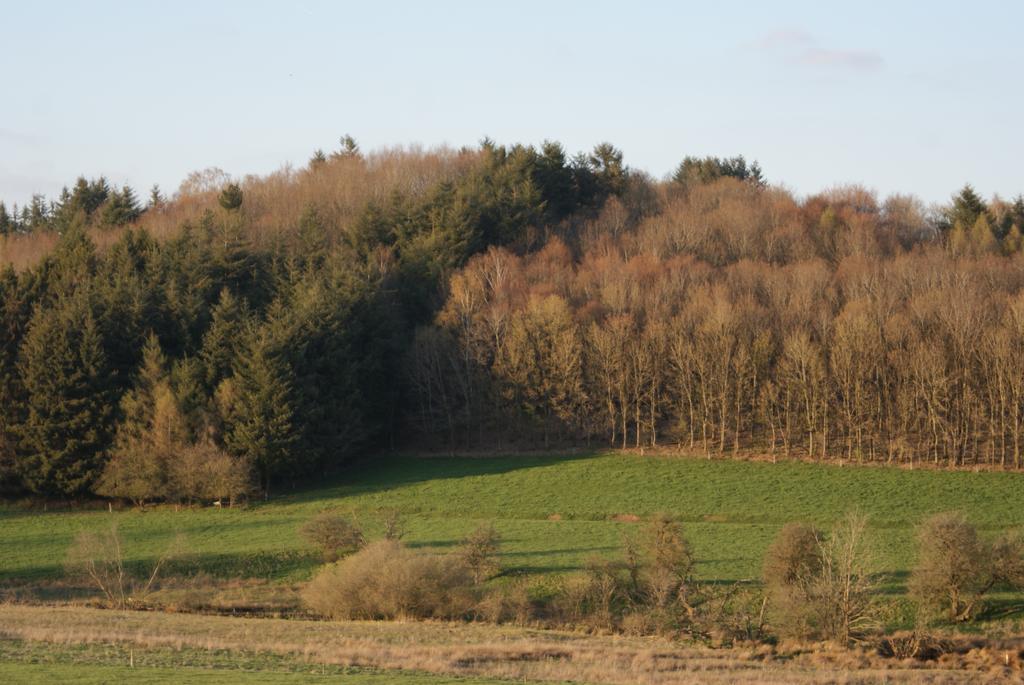 Le Gite De L Ourthe Ortheuville Buitenkant foto