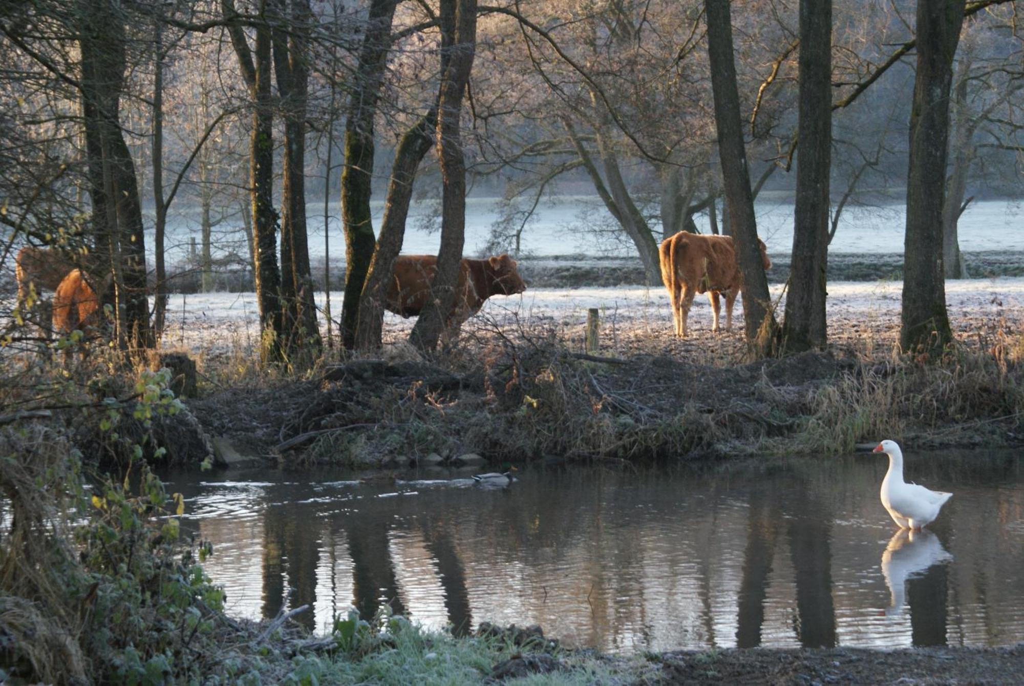 Le Gite De L Ourthe Ortheuville Buitenkant foto