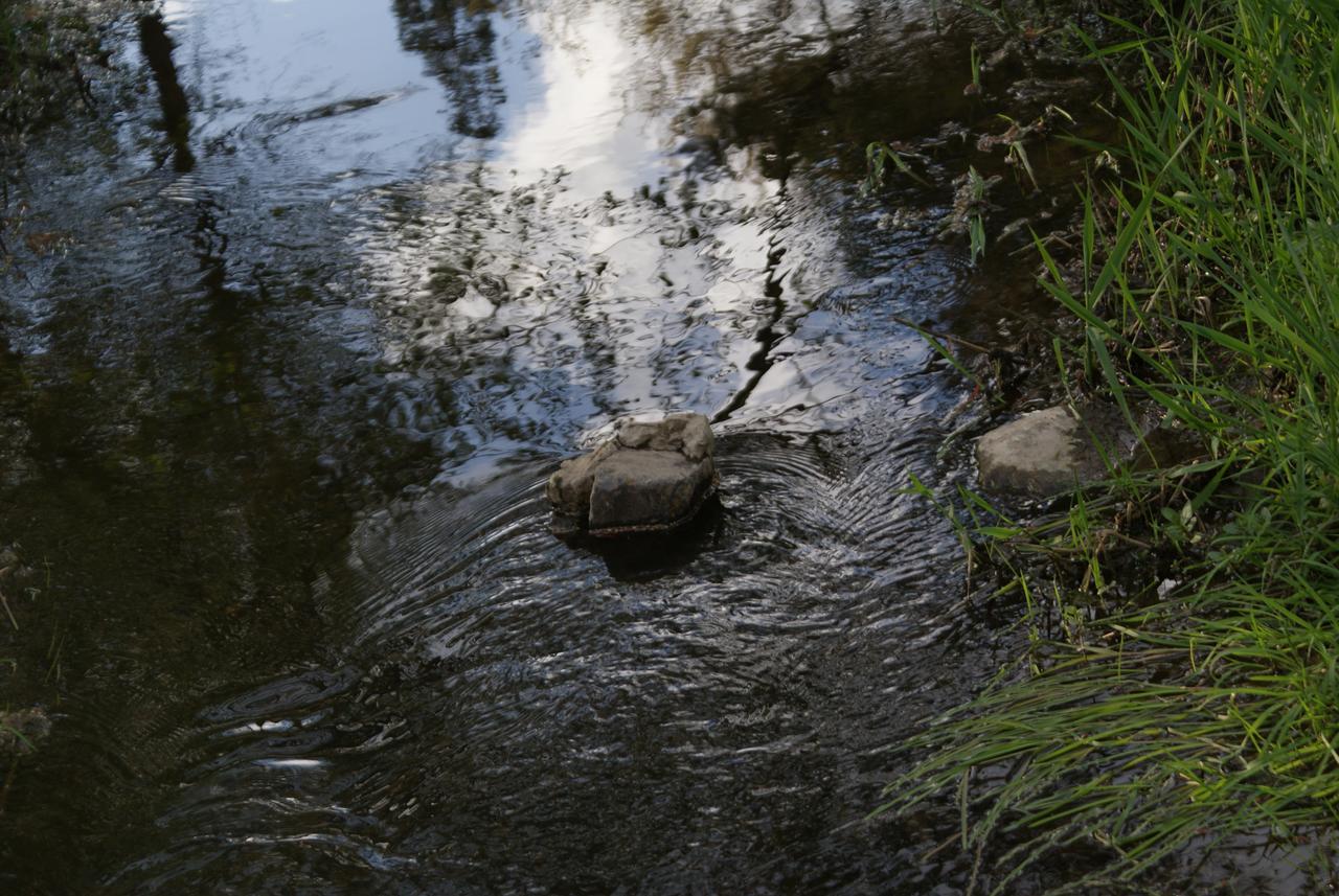 Le Gite De L Ourthe Ortheuville Buitenkant foto