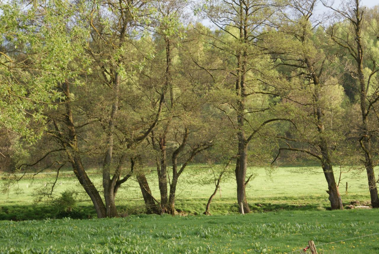 Le Gite De L Ourthe Ortheuville Buitenkant foto