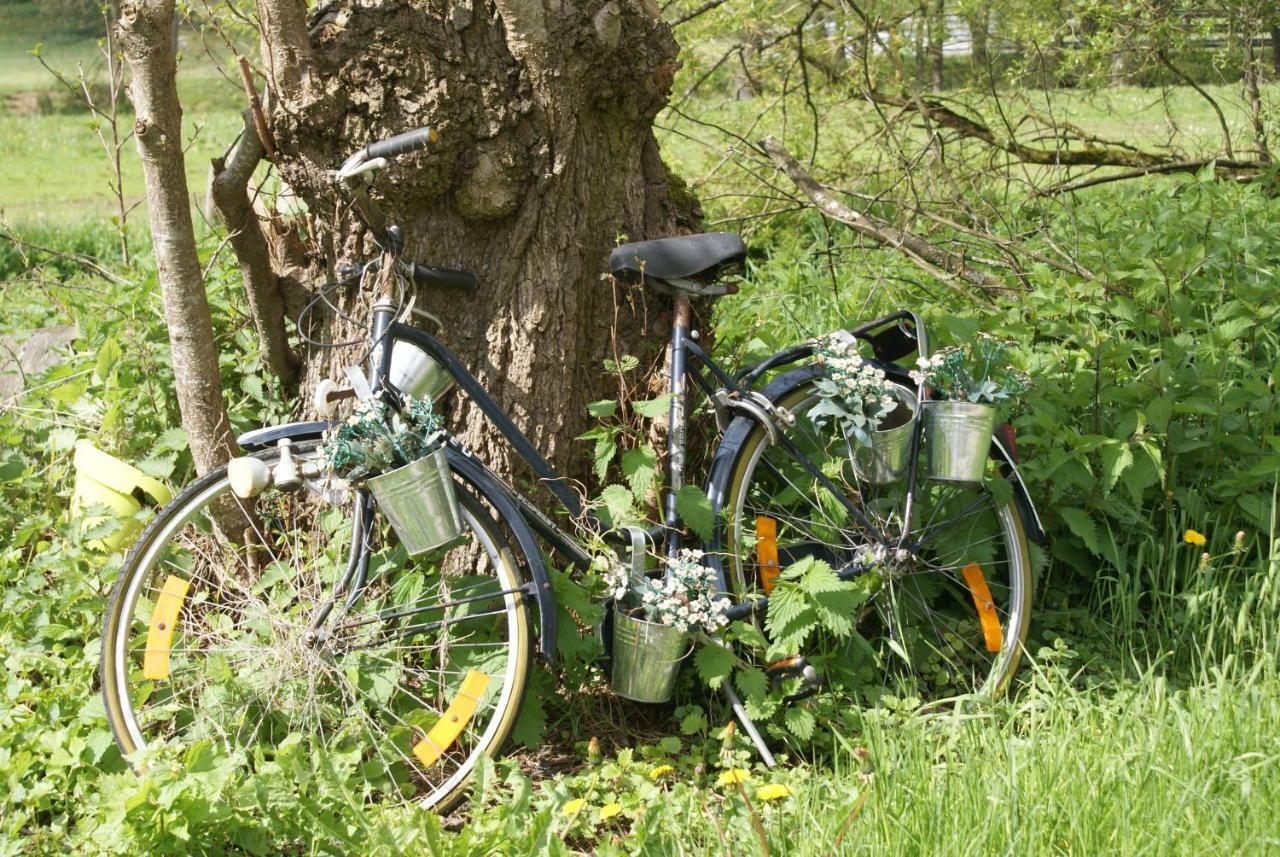 Le Gite De L Ourthe Ortheuville Buitenkant foto